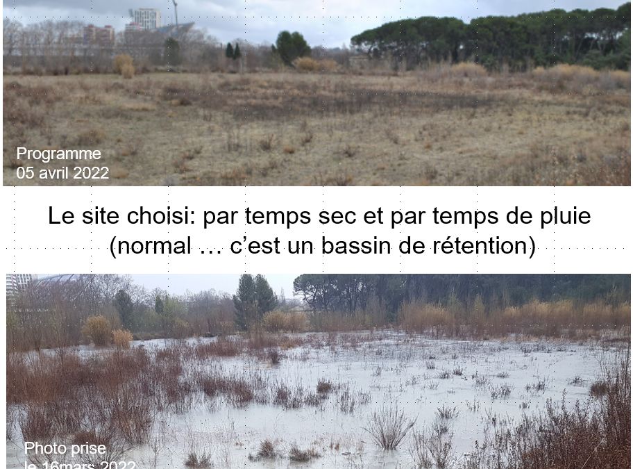 Quelques remarques sur le projet de Complexe sportif